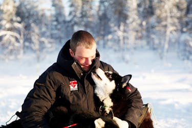 Visita una fattoria di husky a Saariselkä